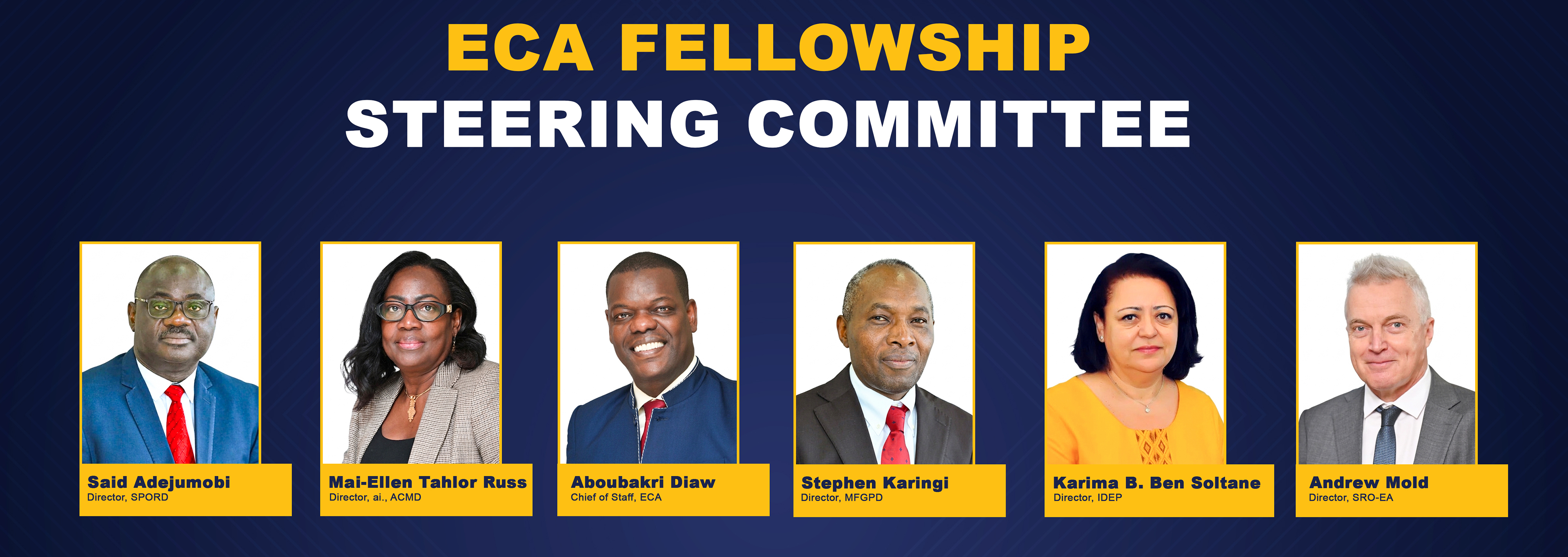 ECA Fellowship Steering Committee